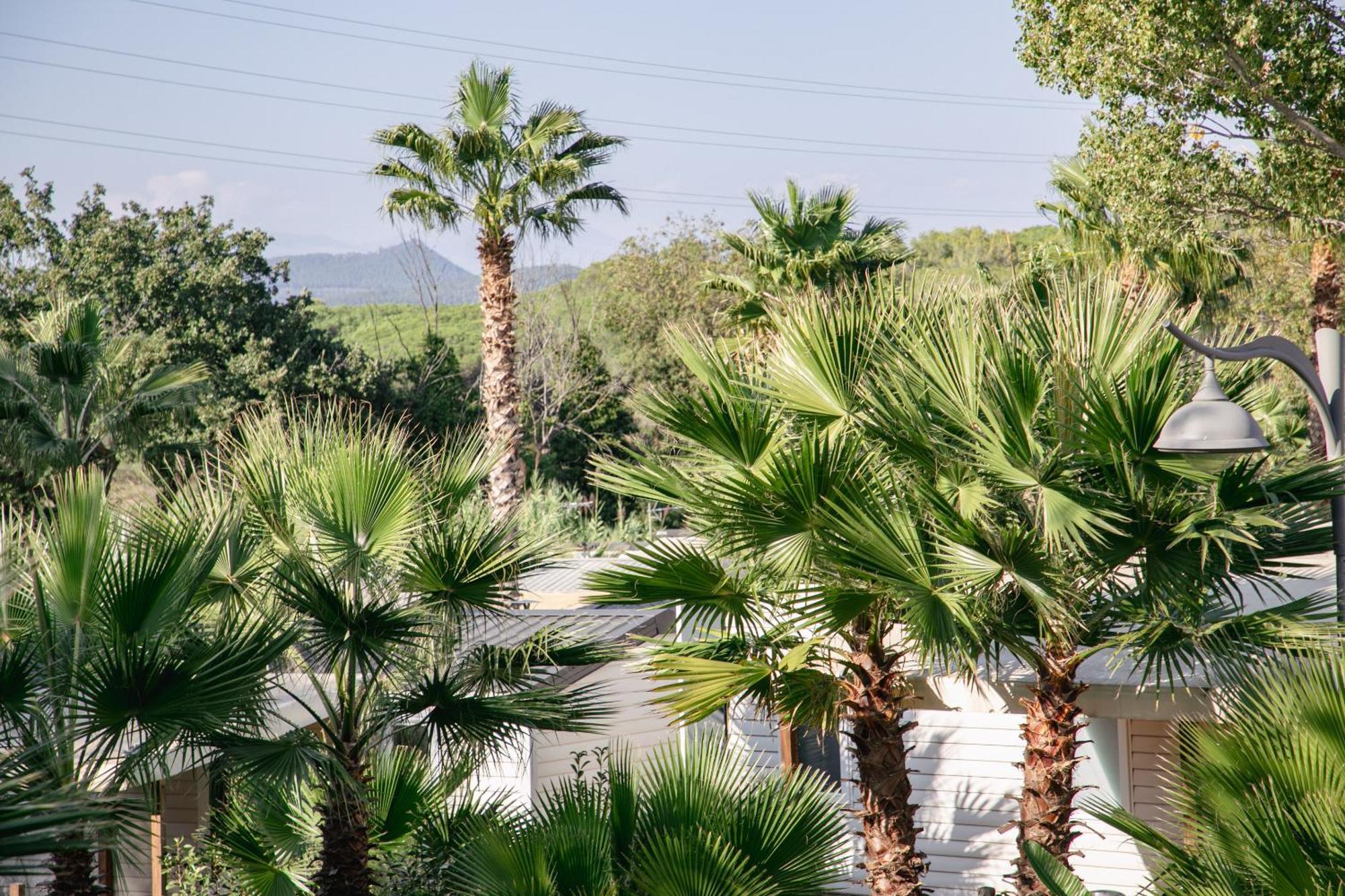 Fréjus Camping Site De Gorge Vent מראה חיצוני תמונה